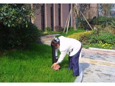 小區(qū)的保潔有何特點(diǎn)